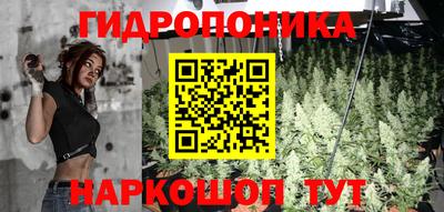 МДПВ Кунгур