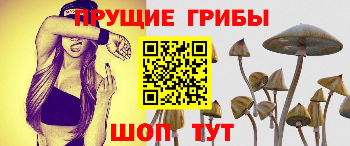 Псилоцибиновые грибы GOLDEN TEACHER  наркотики  Воткинск  Вход с VPN 